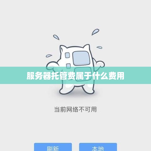 服务器托管费属于什么费用