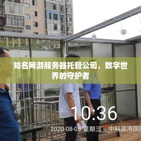 知名网游服务器托管公司，数字世界的守护者