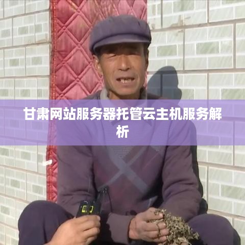 甘肃网站服务器托管云主机服务解析