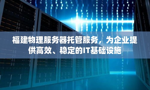 福建物理服务器托管服务，为企业提供高效、稳定的IT基础设施