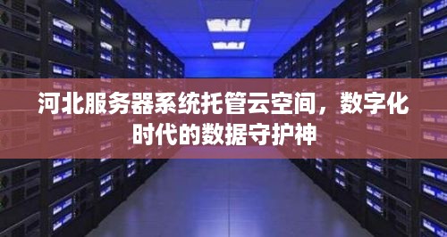 河北服务器系统托管云空间，数字化时代的数据守护神