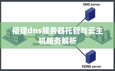 福建dns服务器托管与云主机服务解析