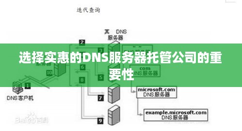 选择实惠的DNS服务器托管公司的重要性