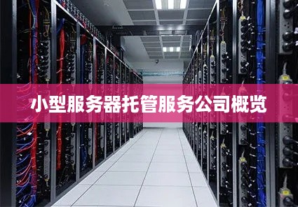 小型服务器托管服务公司概览