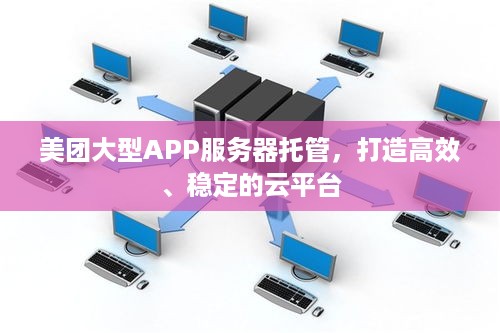 美团大型APP服务器托管，打造高效、稳定的云平台