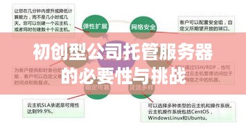 初创型公司托管服务器的必要性与挑战