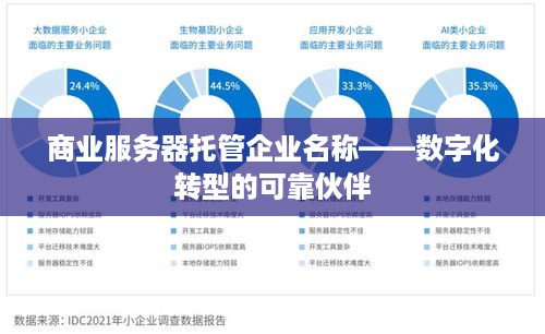 商业服务器托管企业名称——数字化转型的可靠伙伴