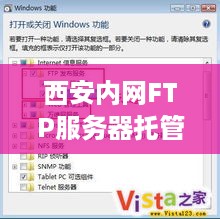 西安内网FTP服务器托管服务解析