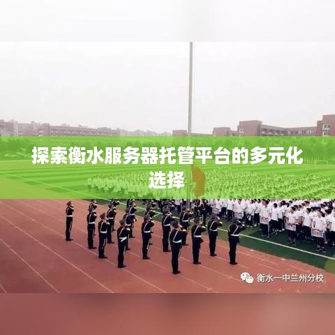 探索衡水服务器托管平台的多元化选择