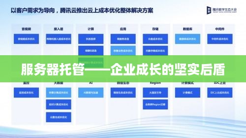 服务器托管——企业成长的坚实后盾