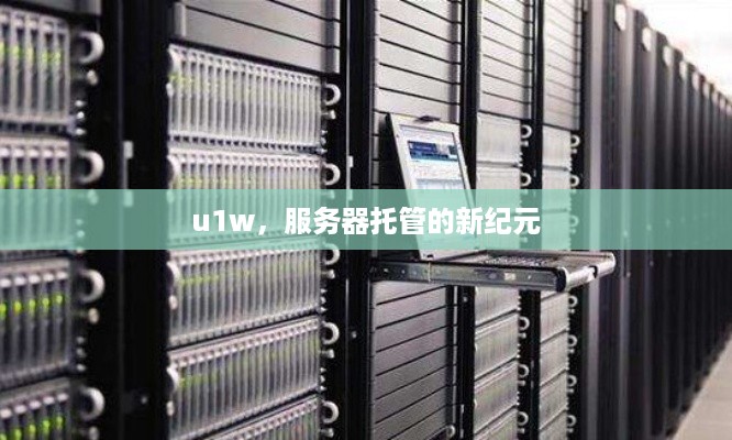 u1w，服务器托管的新纪元