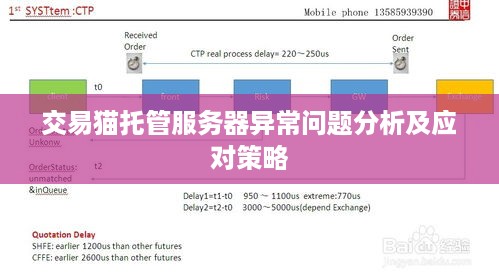 交易猫托管服务器异常问题分析及应对策略