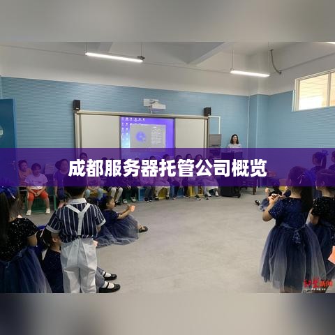 成都服务器托管公司概览