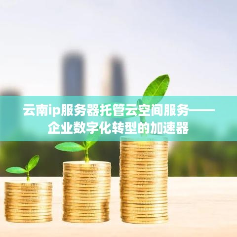 云南ip服务器托管云空间服务——企业数字化转型的加速器