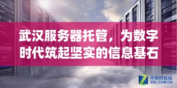 武汉服务器托管，为数字时代筑起坚实的信息基石