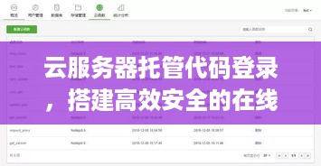 云服务器托管代码登录，搭建高效安全的在线开发环境