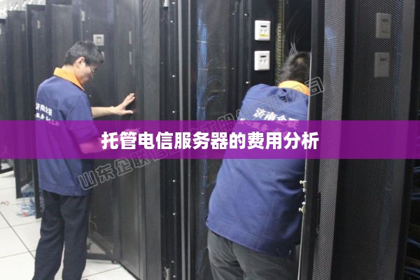 托管电信服务器的费用分析