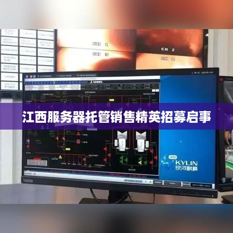 江西服务器托管销售精英招募启事