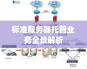 标准服务器托管业务全景解析