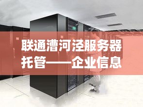 联通漕河泾服务器托管——企业信息化的可靠伙伴