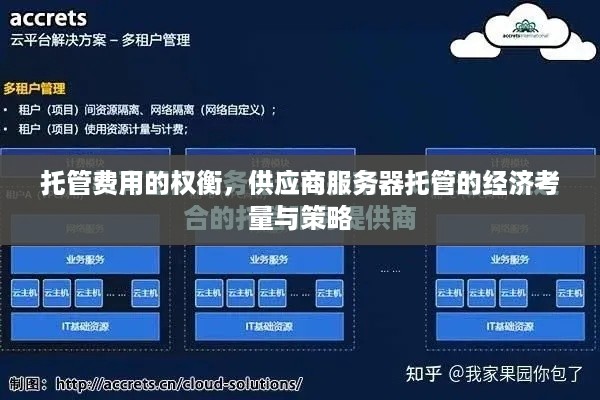 托管费用的权衡，供应商服务器托管的经济考量与策略