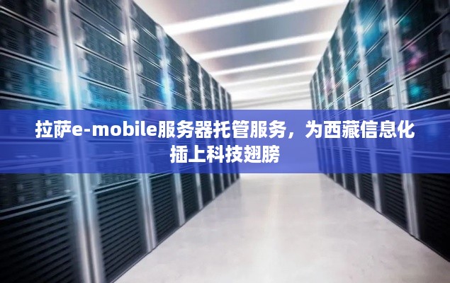 拉萨e-mobile服务器托管服务，为西藏信息化插上科技翅膀