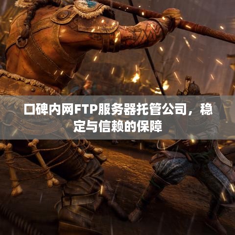 口碑内网FTP服务器托管公司，稳定与信赖的保障