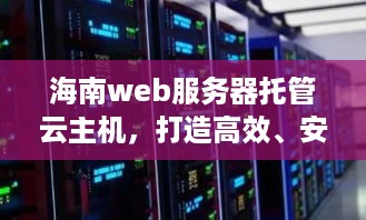 海南web服务器托管云主机，打造高效、安全的互联网基础