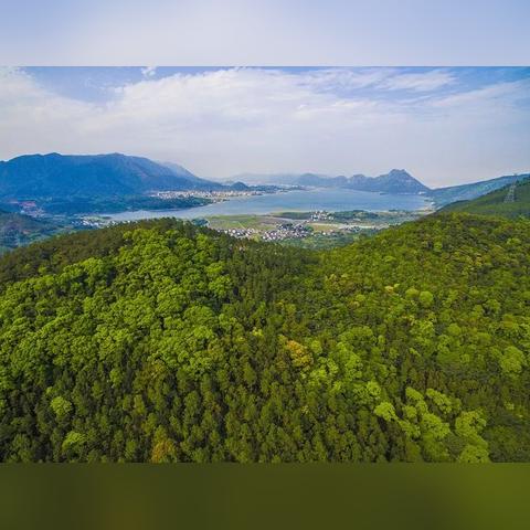 福建服务器托管平台的多样化选择，探索本地服务优势与全球视野