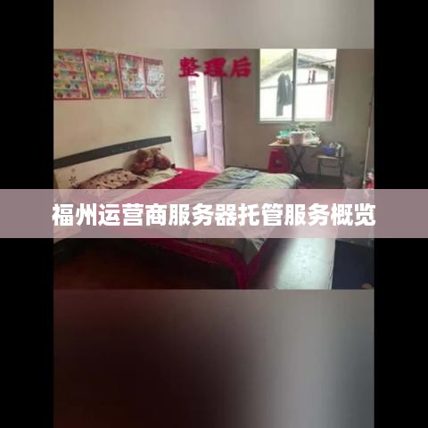 福州运营商服务器托管服务概览