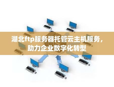 湖北ftp服务器托管云主机服务，助力企业数字化转型