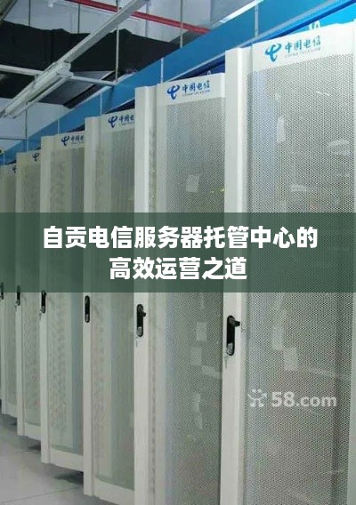 自贡电信服务器托管中心的高效运营之道