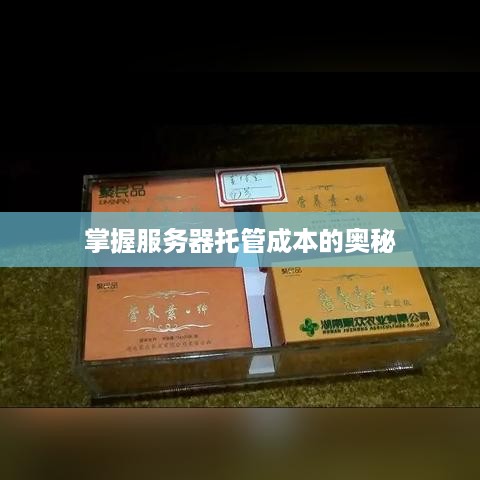 掌握服务器托管成本的奥秘