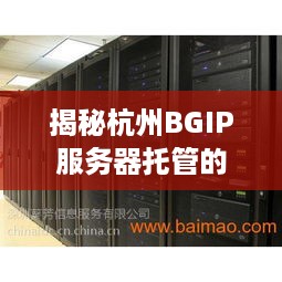 揭秘杭州BGIP服务器托管的低价奥秘