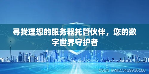 寻找理想的服务器托管伙伴，您的数字世界守护者