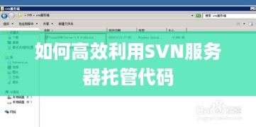 如何高效利用SVN服务器托管代码