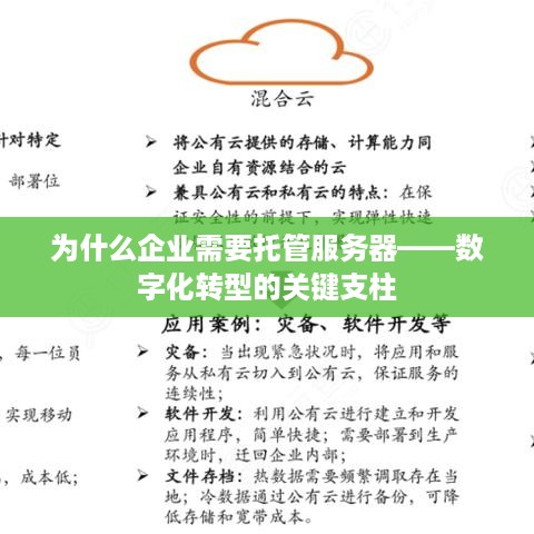 为什么企业需要托管服务器——数字化转型的关键支柱