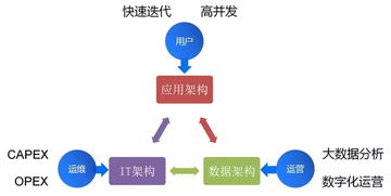 服务器托管与租用，权衡利弊，选择最适合你的IT策略