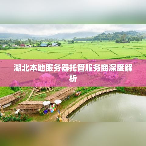 湖北本地服务器托管服务商深度解析