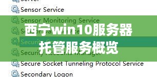 西宁win10服务器托管服务概览