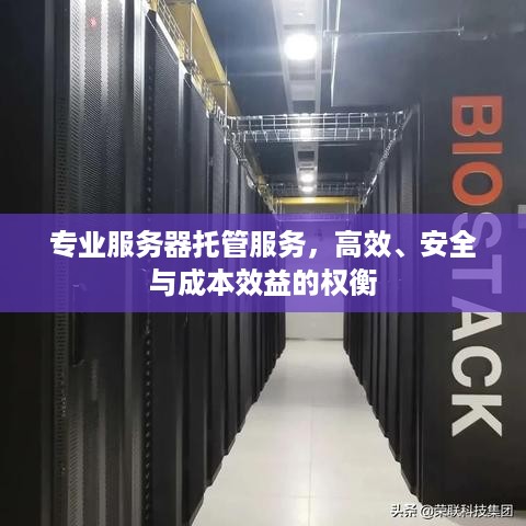 专业服务器托管服务，高效、安全与成本效益的权衡