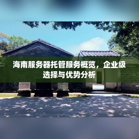 海南服务器托管服务概览，企业级选择与优势分析