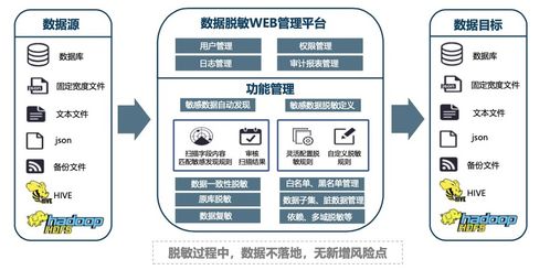 余杭中小型服务器托管服务，企业数据安全的守护神