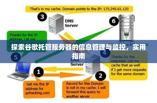 探索谷歌托管服务器的信息管理与监控，实用指南