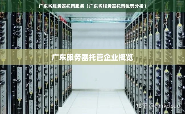 广东服务器托管企业概览