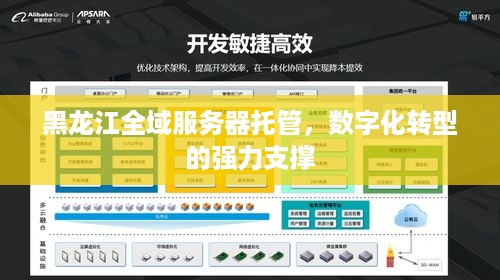 黑龙江全域服务器托管，数字化转型的强力支撑