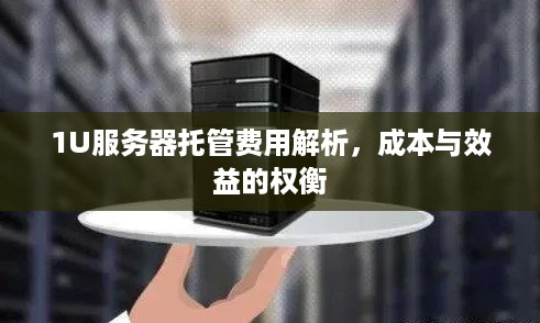 1U服务器托管费用解析，成本与效益的权衡