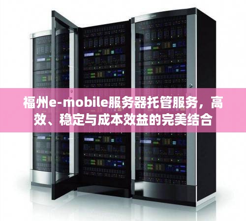 福州e-mobile服务器托管服务，高效、稳定与成本效益的完美结合