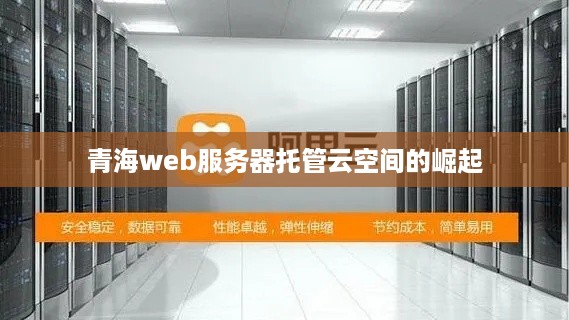 青海web服务器托管云空间的崛起