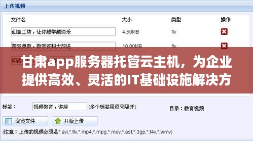 甘肃app服务器托管云主机，为企业提供高效、灵活的IT基础设施解决方案